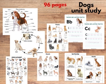 Dogs unit study, Dog anatomy and dog breeds three-part cards, Math worksheets, tracing and writing, Dog breeds posters and Alphabet poster