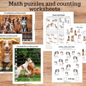 Dogs Unit Study, Dog Anatomy and Dog Breeds Three-part Cards, Math ...