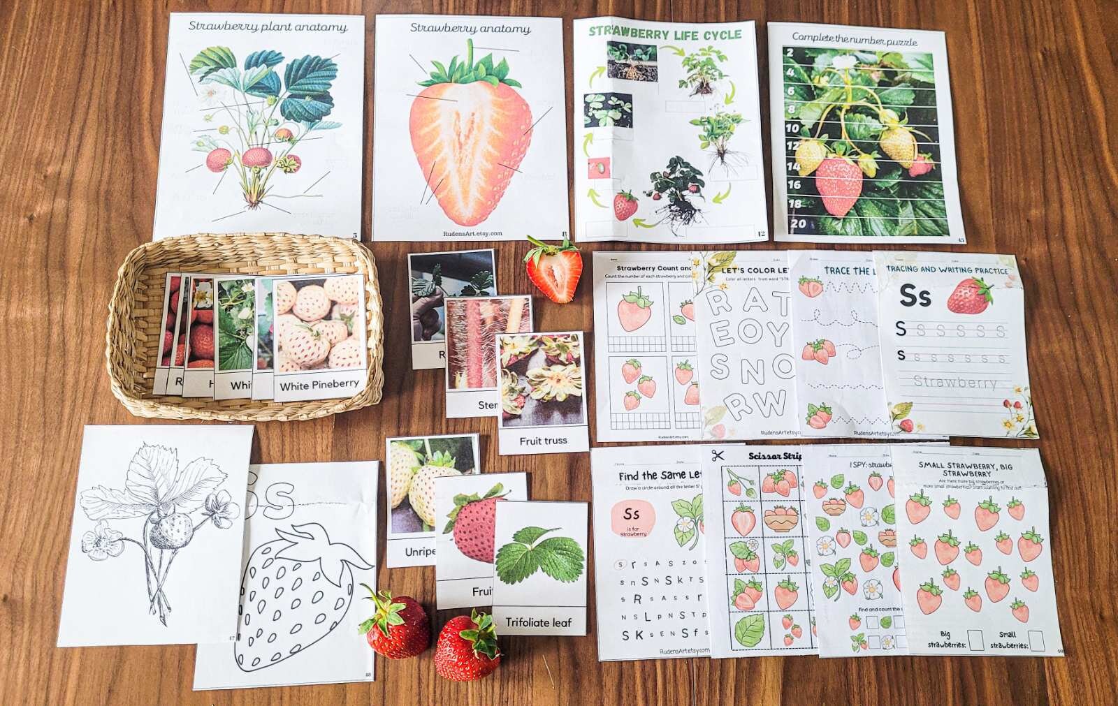 Strawberry Unit Study Strawberry Anatomy and Strawberry - Etsy