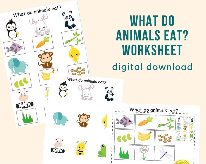 What do animals eat Toddler busy book pages Preschool Etsy