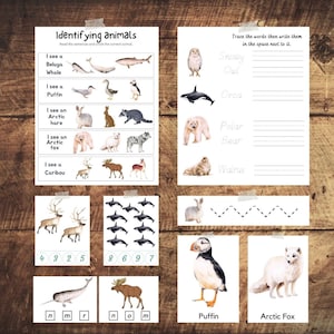 Arctic animals worksheets, Winter preschool worksheets for kids, Kindergarten worksheets, Activity book, Arctic animals three part cards