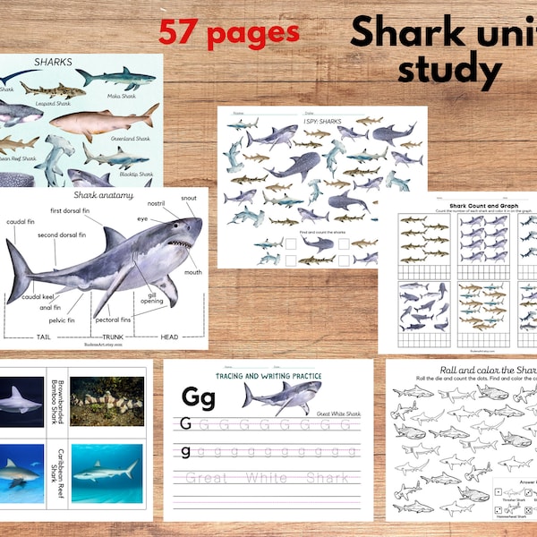 Shark unit study, Shark anatomy and Shark species three-part cards, Math worksheets, tracing and writing activities, Sharks poster