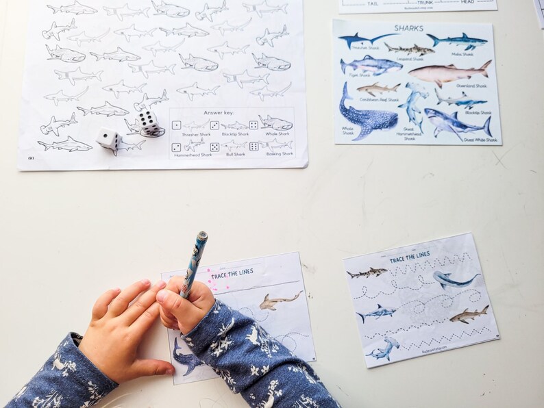 May include: A child's hand traces lines on a worksheet with a blue pencil. The worksheet has a shark illustration and the text "Trace the Lines". There are two dice and a worksheet with a shark identification key.