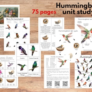 Estudio de unidad de colibrí, anatomía del colibrí, ciclo de vida, arte, estudio de poesía, tarjeta de tres partes, materiales Montessori, Charlotte Mason