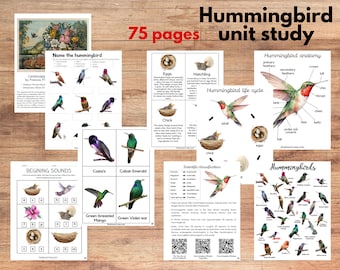 Hummingbird unit study, Hummingbird anatomy, life cycle, Art, Poetry study, Three-part card, Montessori materials, Charlotte Mason