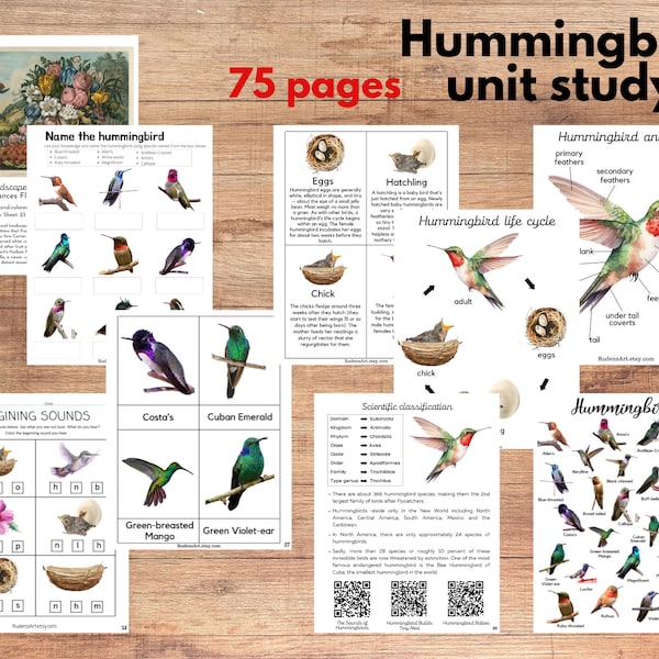 Hummingbird unit study, Hummingbird anatomy, life cycle, Art, Poetry study, Three-part card, Montessori materials, Charlotte Mason