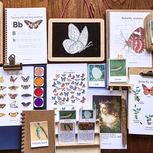 Estudio de la unidad sobre mariposas, anatomía de las mariposas, ciclo de vida, especies, orugas (tarjetas de tres partes), material Montessori para la educación en casa, Charlotte Mason
