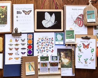 Schmetterlings-Einheitsstudie, Schmetterlingsanatomie, Lebenszyklus, Arten, Raupen dreiteilige Karten, Montessori-Heimschulmaterial, Charlotte Mason