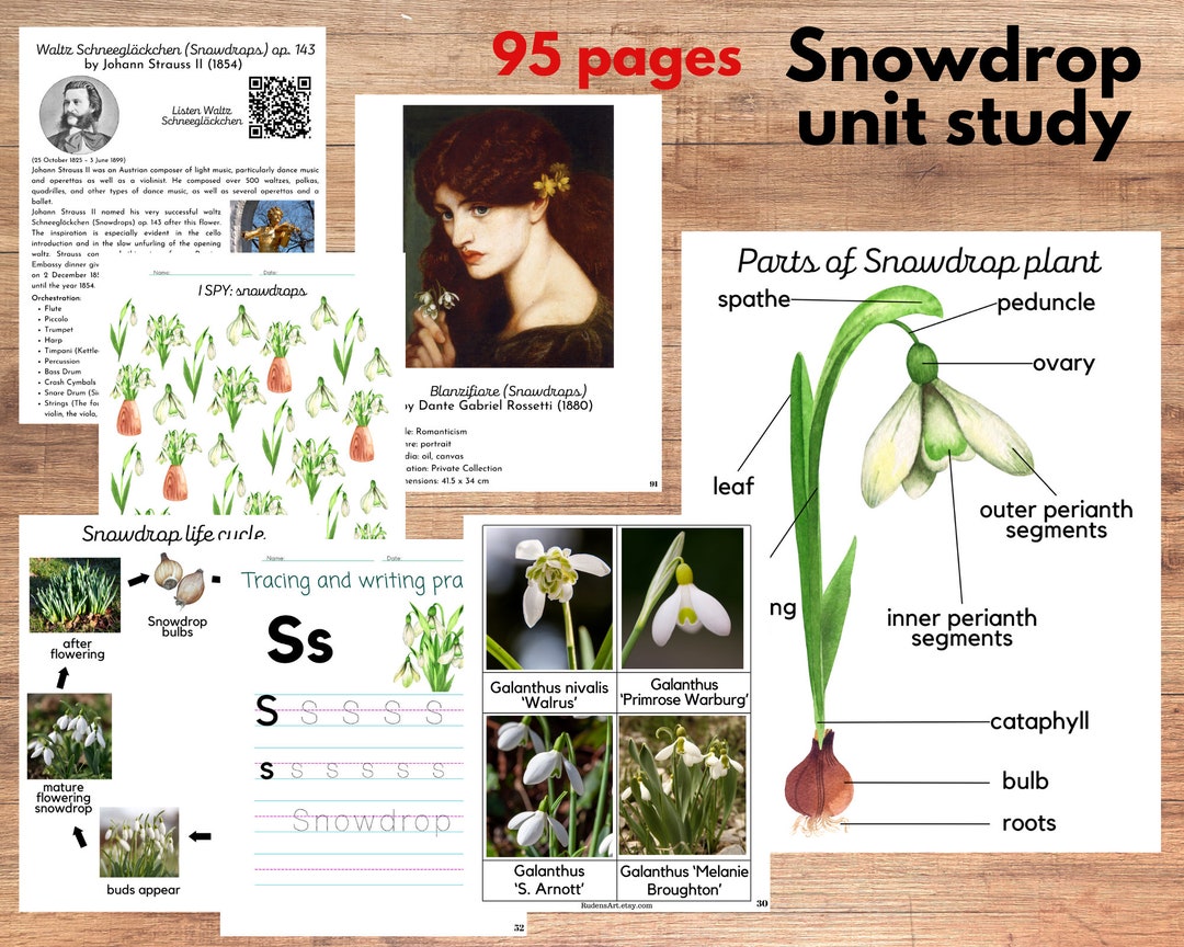 標準生理学　　　⑧ 標準生理学 第8版 (Standard Textbook) | NDLサーチ | 国立国会