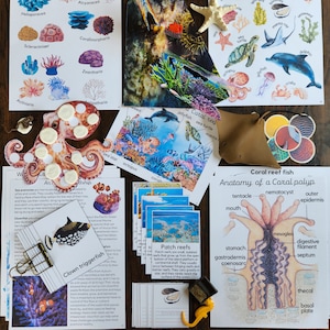 Estudio de unidad de arrecifes de coral, Tarjetas de tres partes de corales y peces tropicales, material Montessori, Paquete de aprendizaje en casa, Ecosistema de arrecifes de coral, PDF