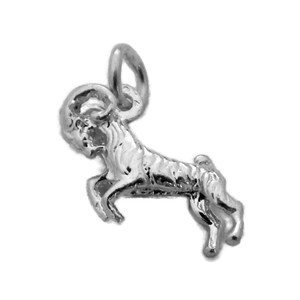 12 Constellation Horoscope Zodiac Sign Unisex Pendant Medium Size .925 Sterling Silver !!