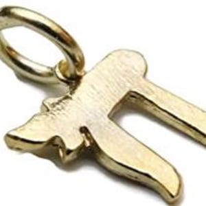 Chai symbol small 14k yellow gold charm pendant