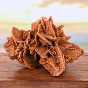 Desert Rose Gypsum 8" Long Crystals Decor Specimen Selenite Flower Mineral Cluster Mexico