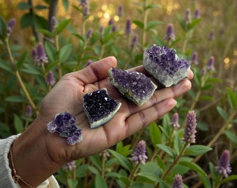 Uruguay-Druzy Amethyst-Cluster • Tiefvioletter Heilkristall, Wohndekor
