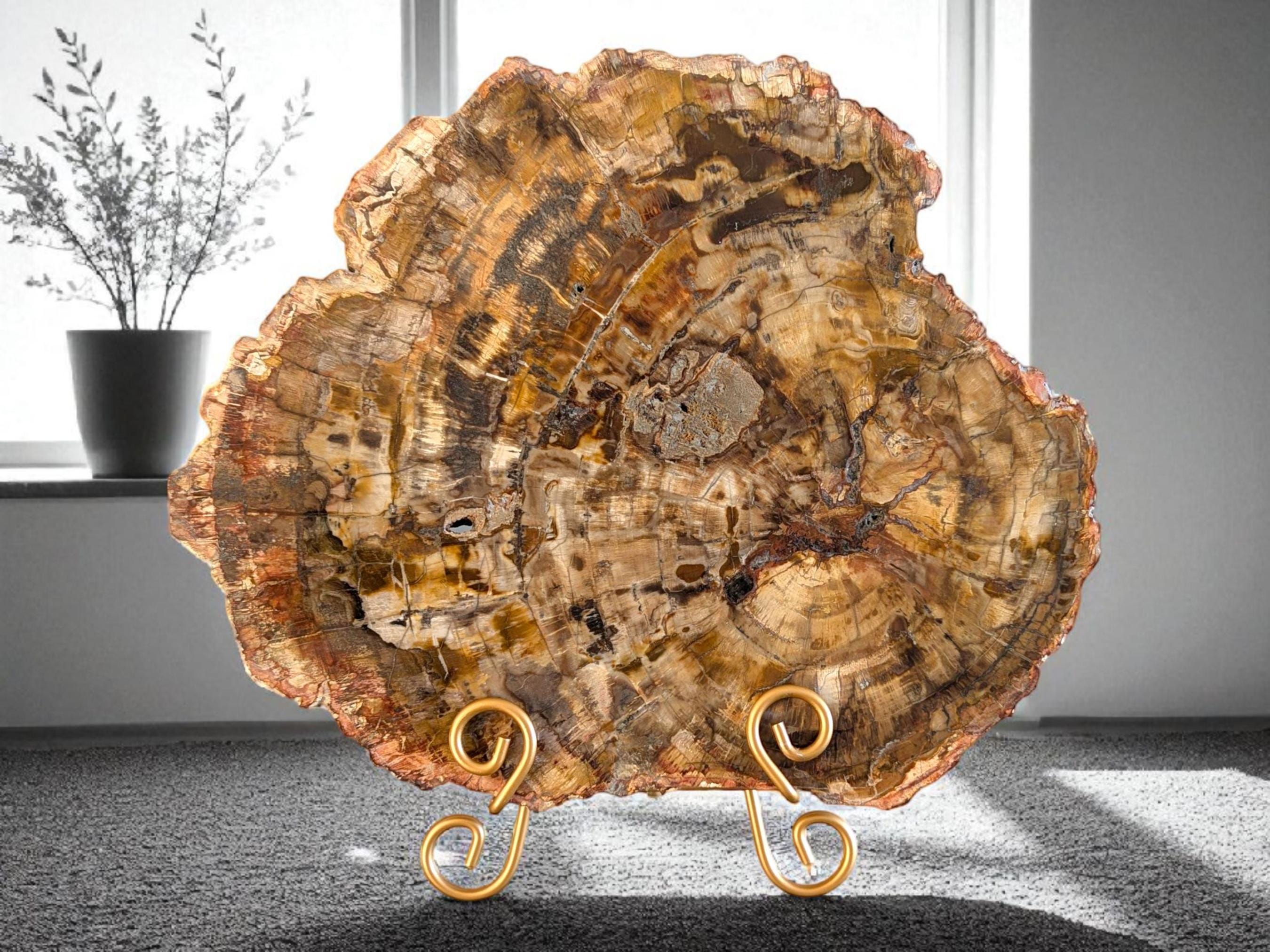 Vintage ＊ petrified wood tray Petrified Wood Tray - Etsy Canada