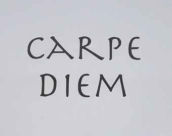 Carpe Diem (Seize the day) Inspirational Quotes Wall Art PDF Instant Download.