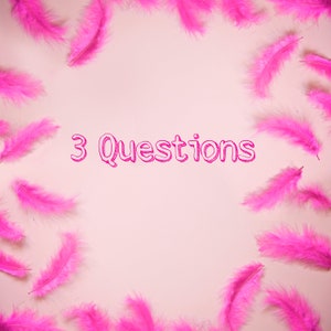A la carte questions (3) Questions