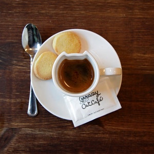 Könnte beinhalten: Eine weiße Kaffeetasse aus Keramik mit einem katzenförmigen Henkel, gefüllt mit dunklem Kaffee. Die Tasse steht auf einem weißen Unterteller mit zwei runden Keksen und dem Text "Crazy Cat Cafe" auf einer weißen Papierserviette.