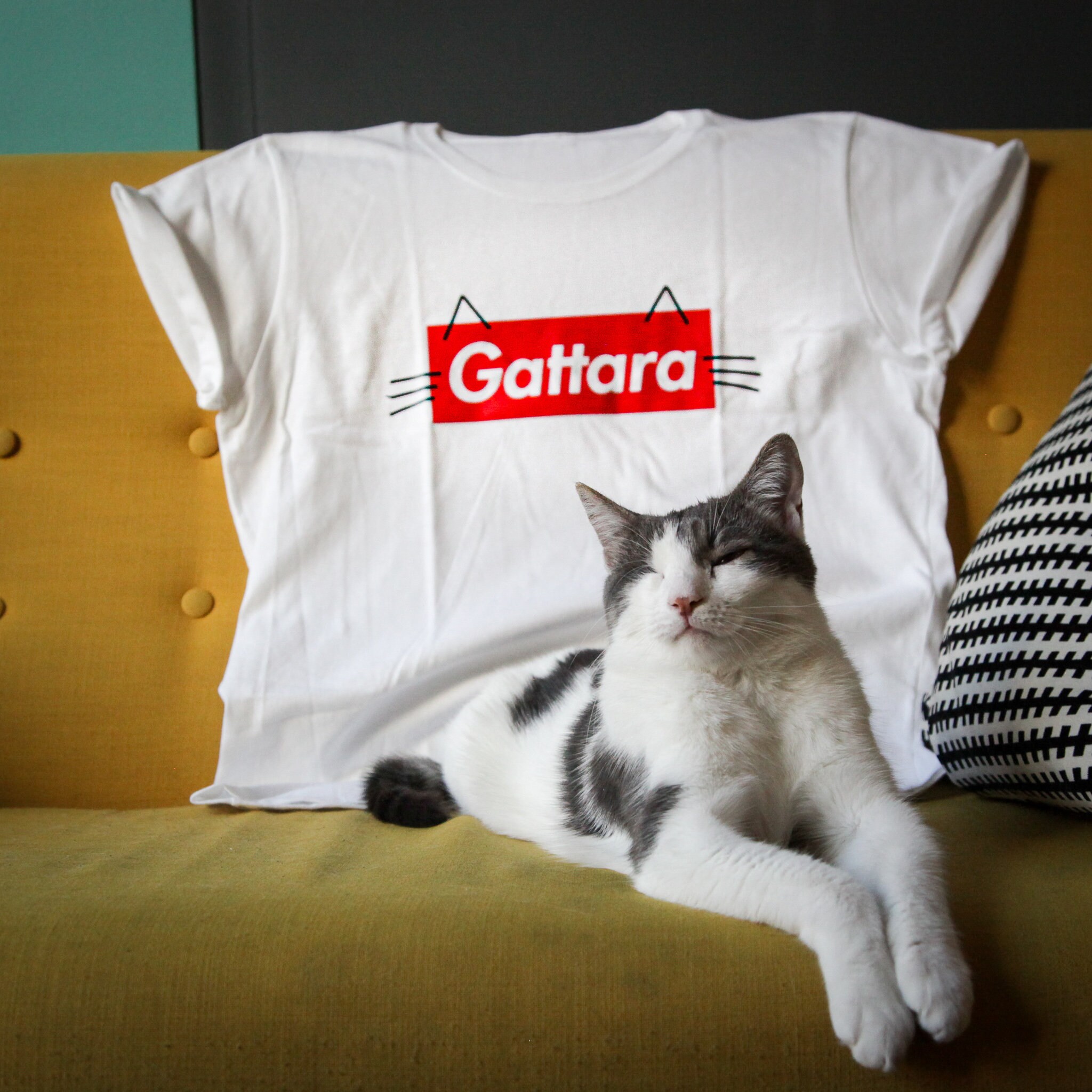 Maglietta gatto outlet nel taschino