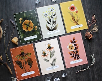 Postcard Set "Bunch Of Flowers" 6 Floral Designs Included