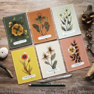 Seconden/B-Stock ansichtkaartenset 'Bos bloemen', inclusief 6 bloemmotieven