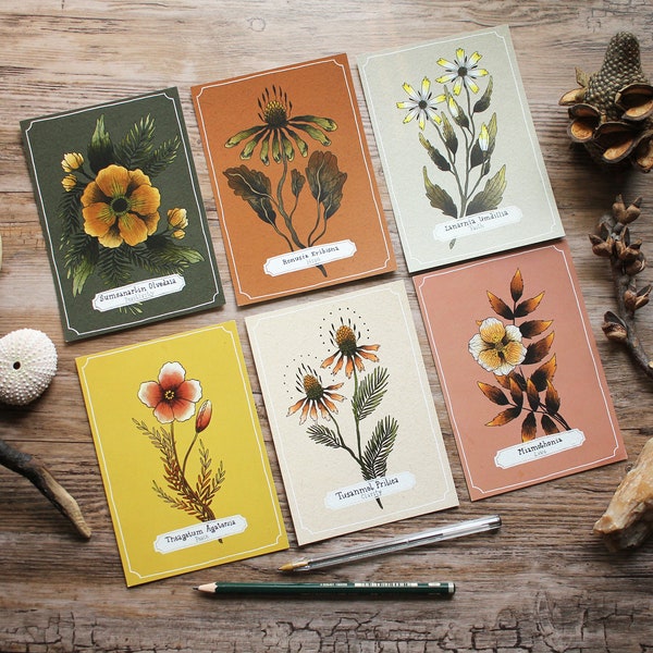 Seconds/ B-Stock Postcard Set "Bunch Of Flowers" 6 Floral Designs Included