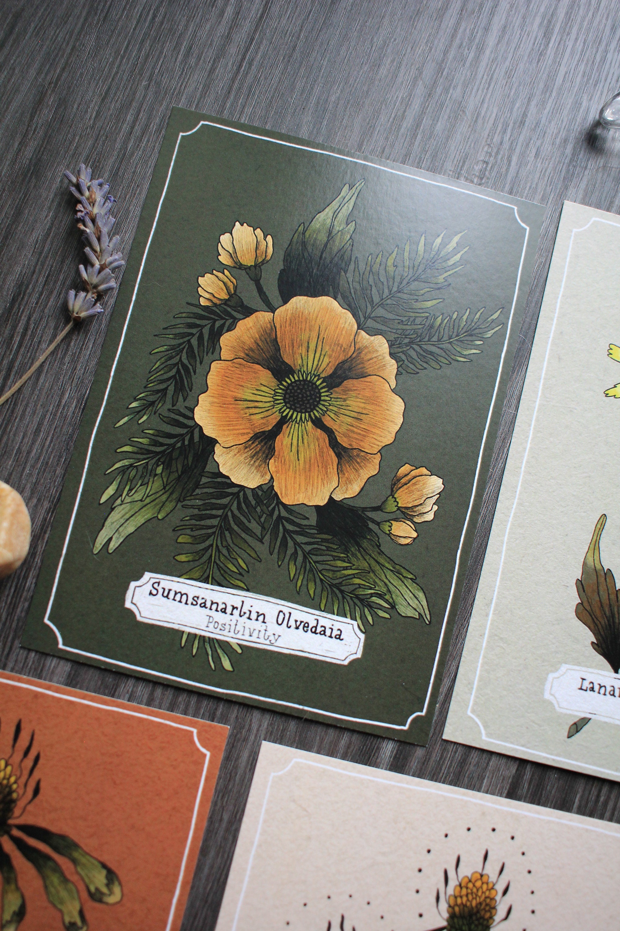 Postcard Set "bunch of Flowers" 6 Floral Designs Included - Etsy