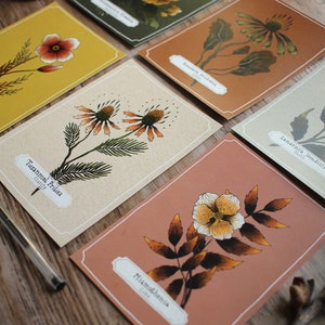 Seconds/ B-Stock Postcard Set Bunch Of Flowers 6 Floral Designs Included image 10