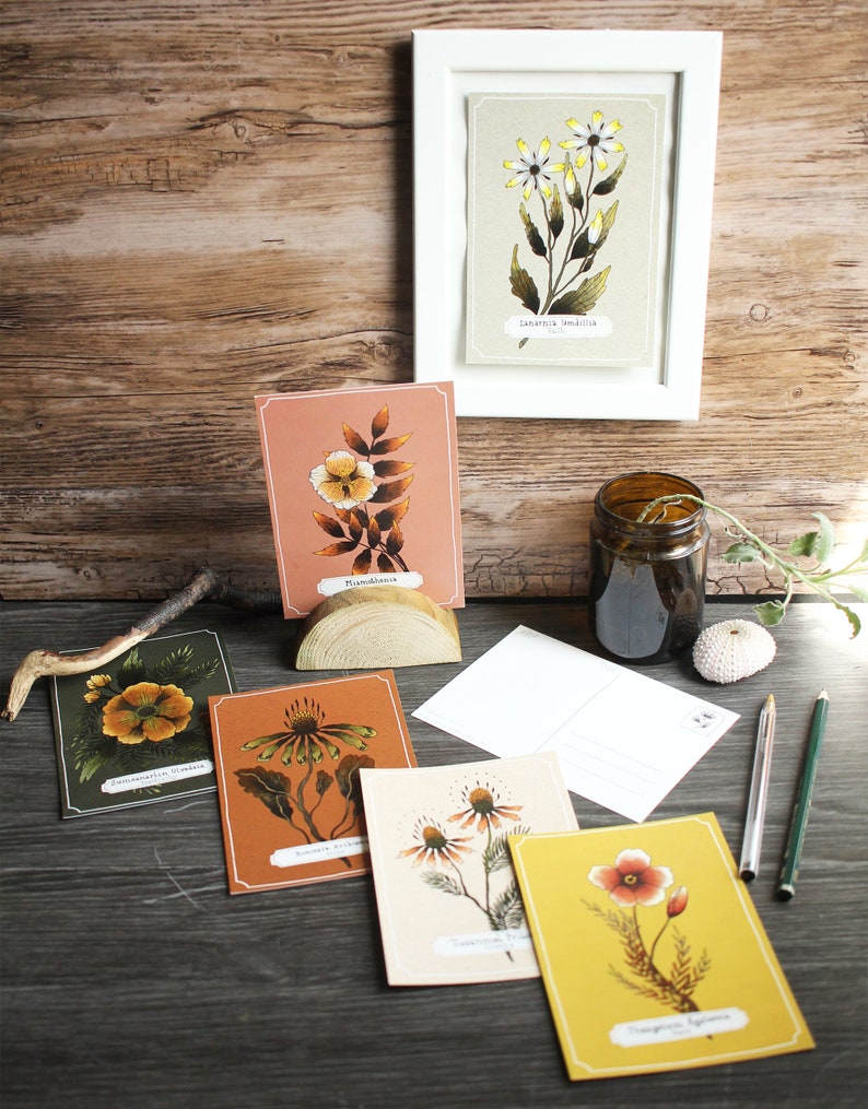 Seconds/ B-Stock Postcard Set Bunch Of Flowers 6 Floral Designs Included image 9