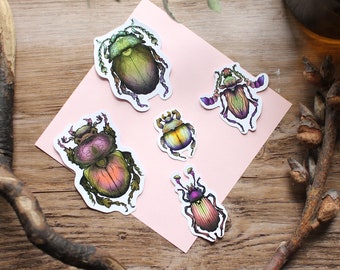 Rainbow Beetles Paper Sticker Set Of 5 Stickers