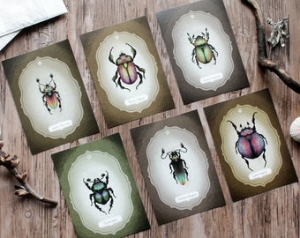 Postcard Set "Beetles,Bugs and Insects" 6 Beetle Designs Included