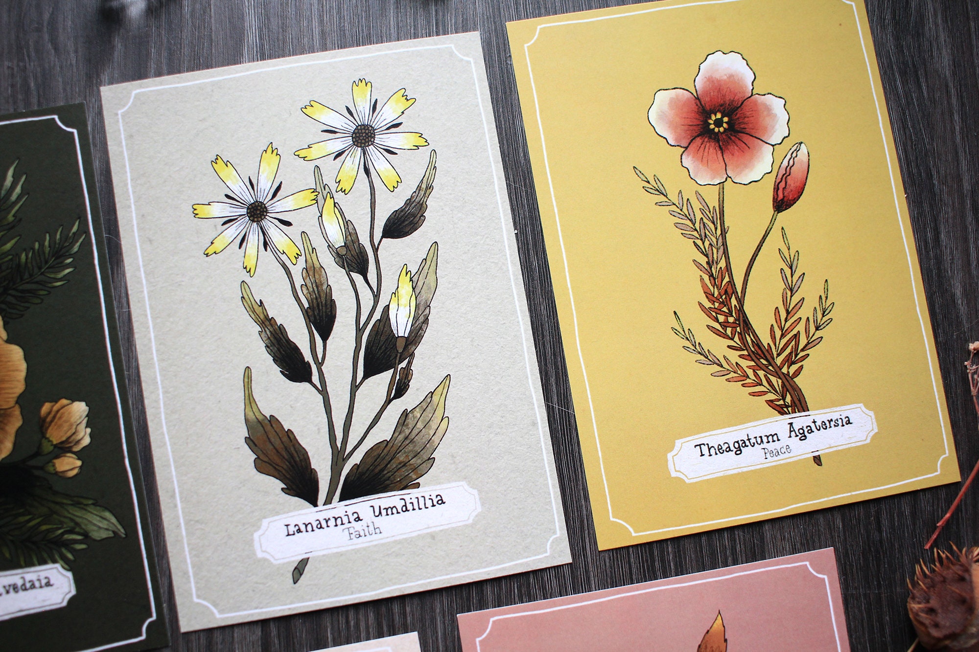 Postcard Set "bunch of Flowers" 6 Floral Designs Included - Etsy