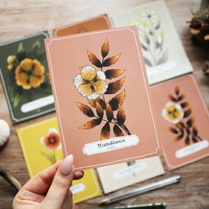Seconds/ B-Stock Postcard Set Bunch Of Flowers 6 Floral Designs Included image 5