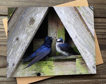 Lovebirds Art Card, Blank Greeting Card, Notecard with Envelope, Bird Art, Purple Martins