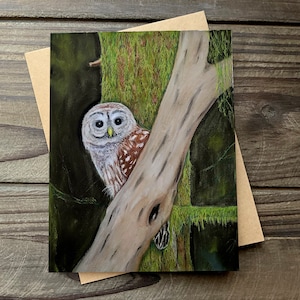 Barred Owl Art Card, Blank Greeting Card, Notecard with Envelope, Wildlife Art, Bird Art