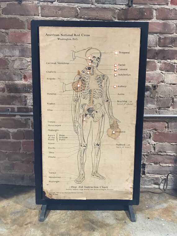 American Red Cross Charts