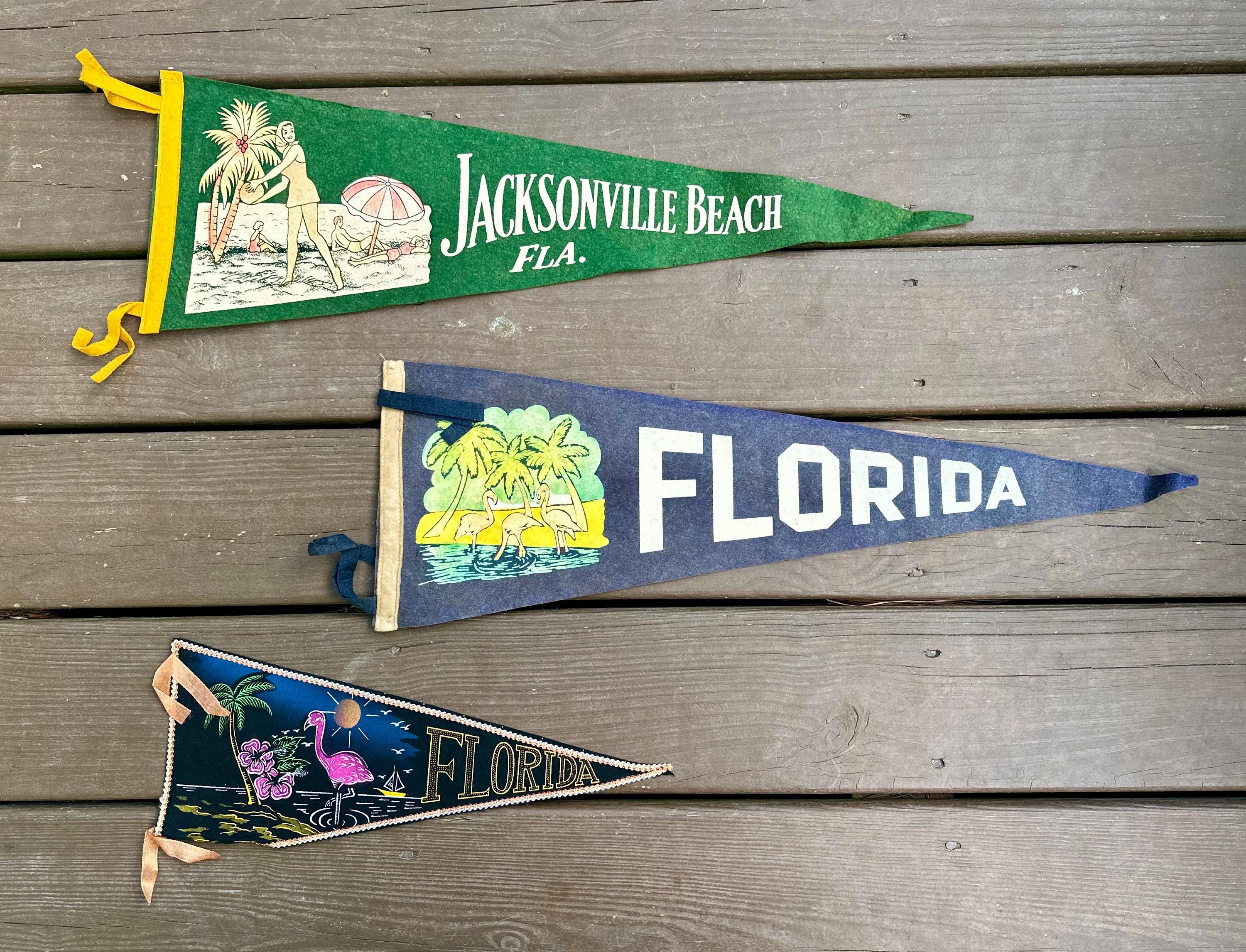 Buy Florida A&M Pennant Full Size Felt Online India