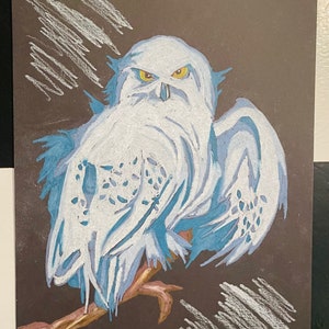 May include: A white snowy owl with yellow eyes perched on a branch. The owl is facing forward with its wings spread out. The background is a dark brown with white chalk lines.