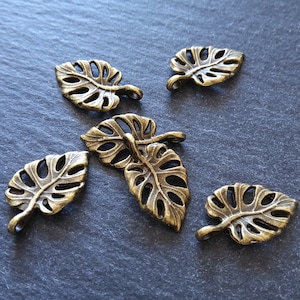 10 or 50 Antique Bronze Swiss Cheese Plant Leaf Charms Monstera Deliciosa 20x12mm