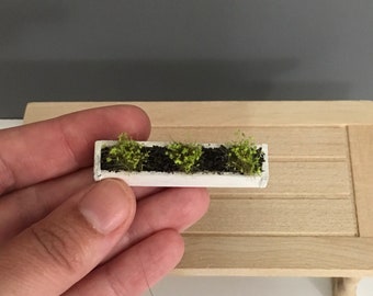 Details about / 1:12 Scale Wooden Window Box Trough Tumdee Dolls House Outdoor Flower Planter 95