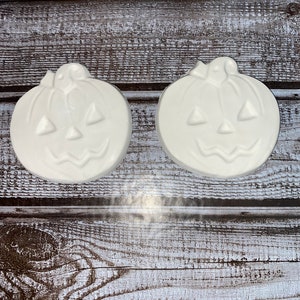 Ready to Paint DIY Plaster Craft Fake Food 2 pieces  Pumpkins  Fall Halloween Theme   P0375