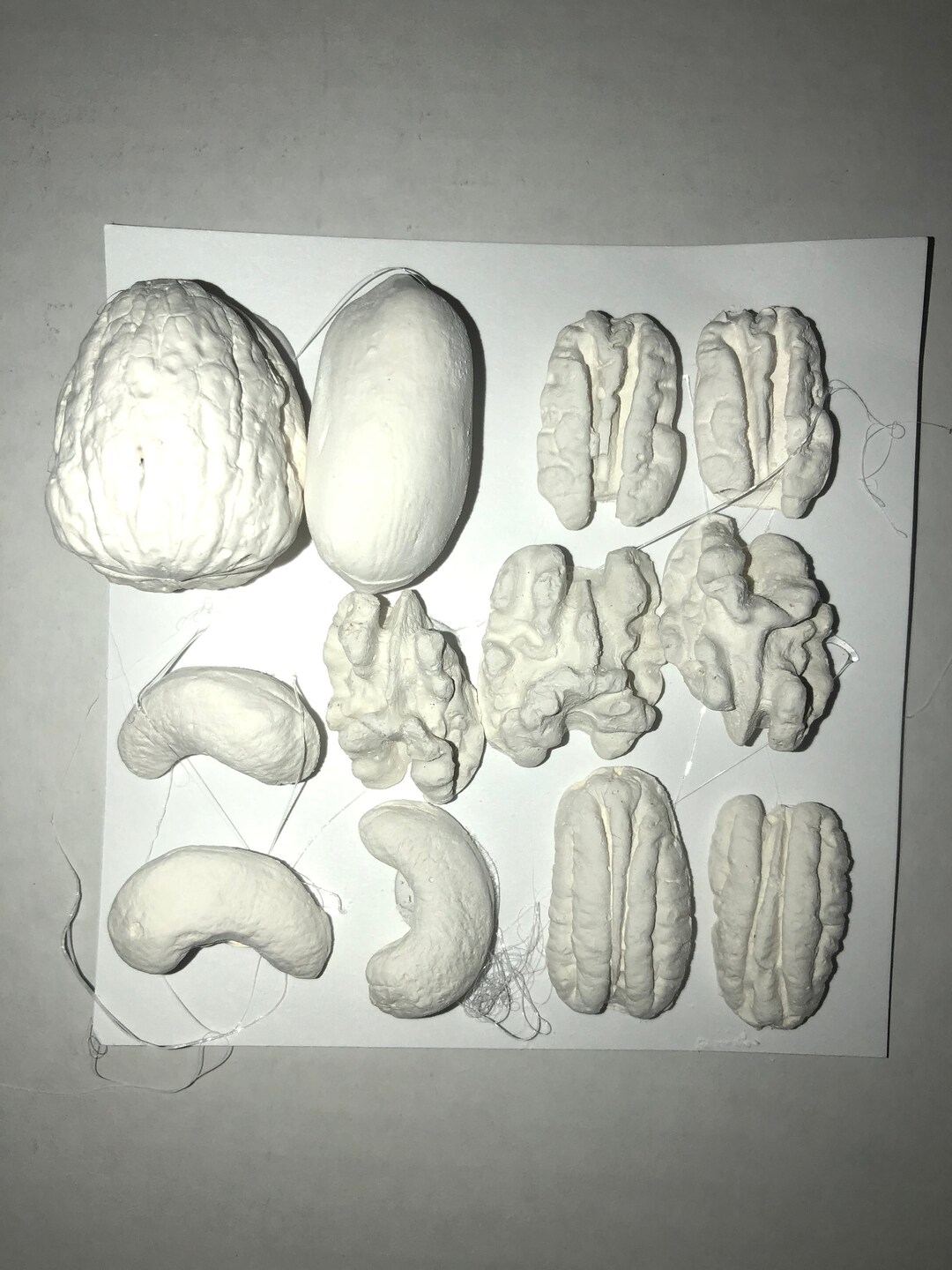 Ready to Paint Plaster of Paris DIY Craft 12 Pc Mixed Nuts Etsy