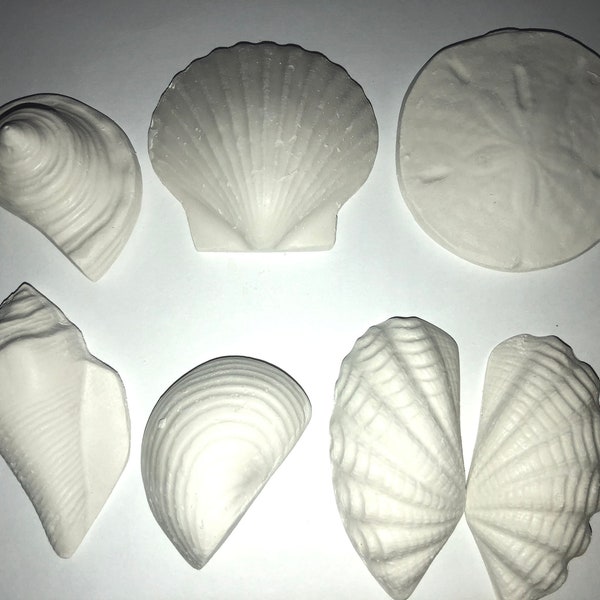 Fake Seashells - Etsy