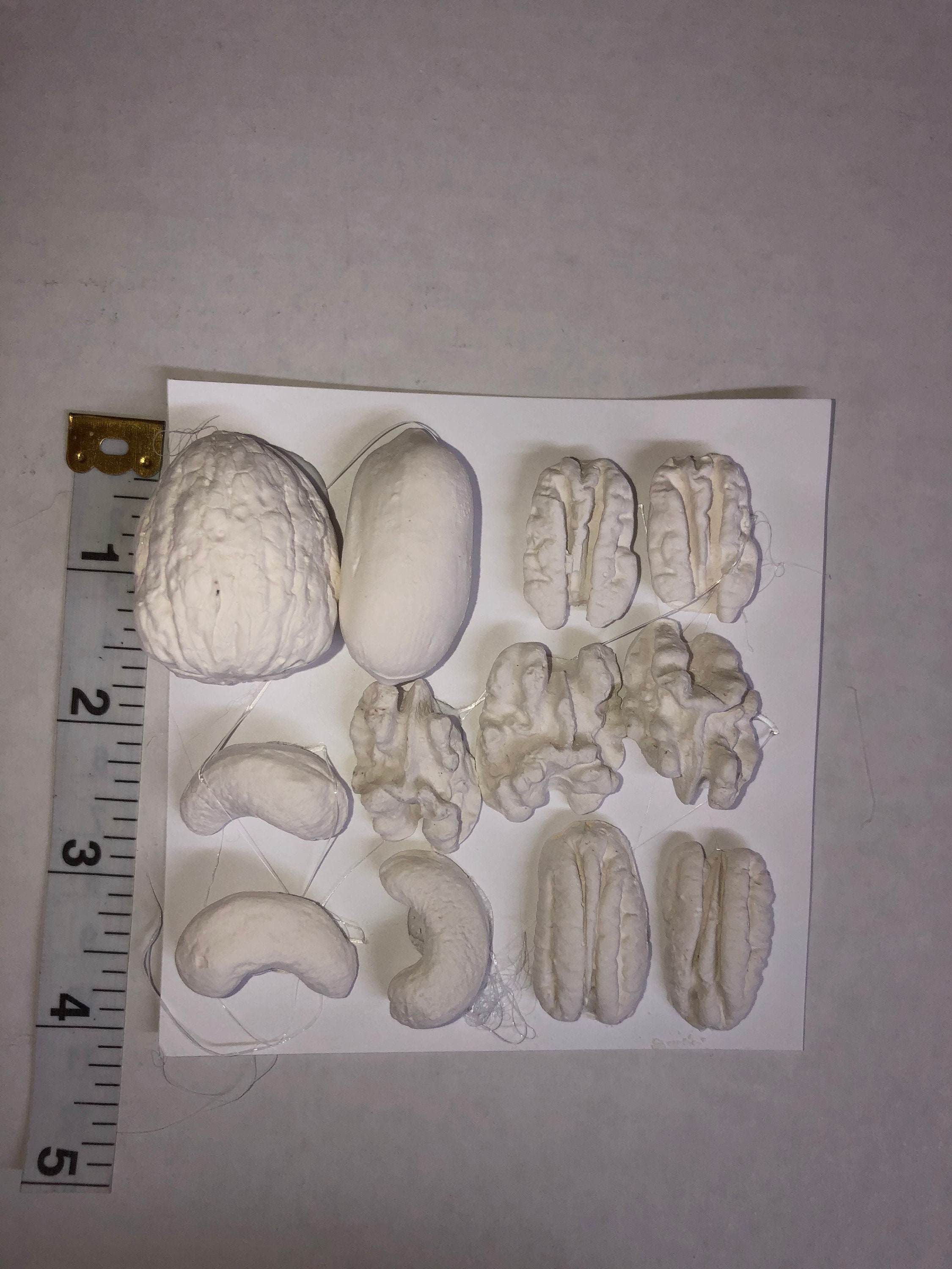 Ready to Paint Plaster of Paris DIY Craft 12 Pc Mixed Nuts Etsy UK