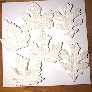May include: Six white plaster leaf shapes on a white background. The leaves are all different sizes and shapes, and they have a textured surface.