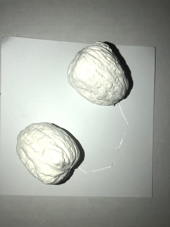 Ready to Paint Plaster of Paris DIY Craft 2 Piece Whole Walnut Etsy