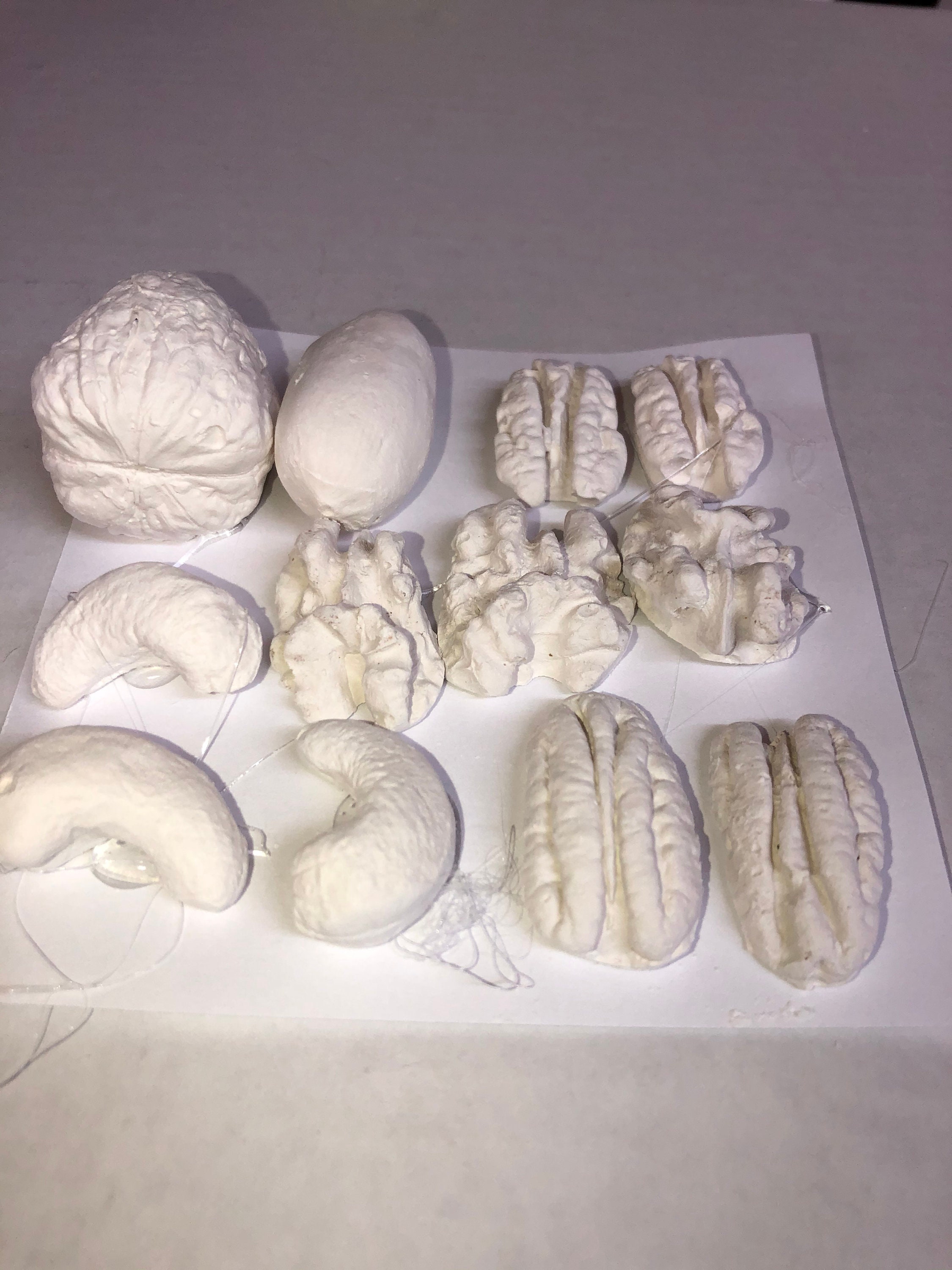 Ready to Paint Plaster of Paris DIY Craft 12 Pc Mixed Nuts Etsy