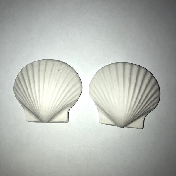 Ready to Paint Plaster Craft Chalk Ware 2 pc Large Scallop Shells Beach Ocean Theme  SEASHELLS P0240