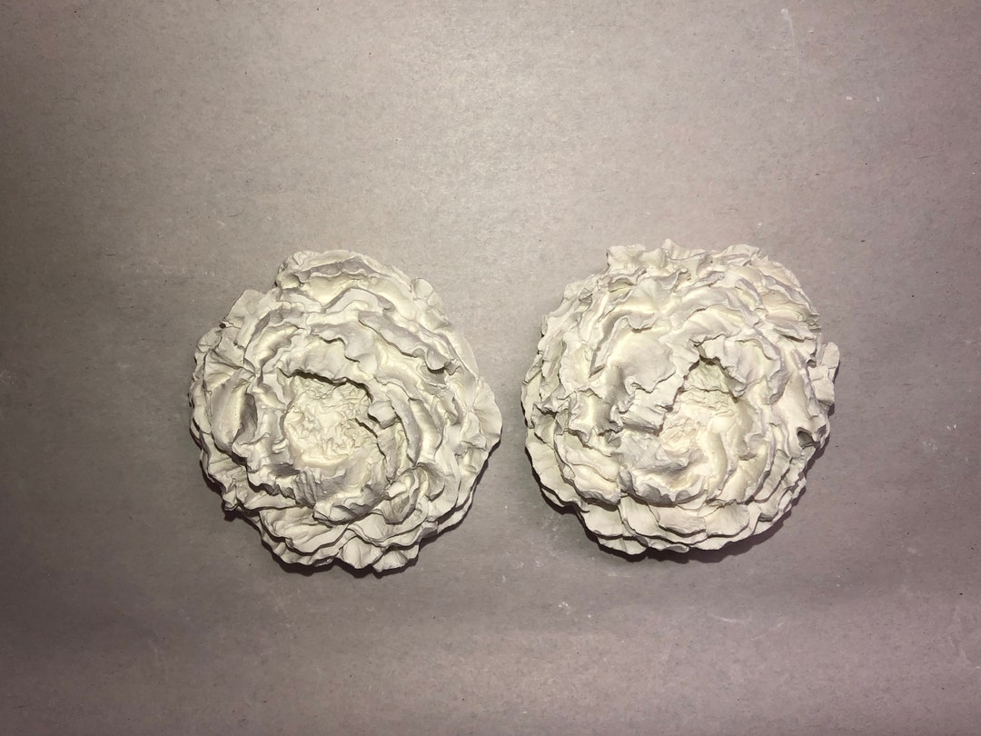 Ready to Paint Plaster of Paris 2 Pc Large Flowers Ranunculus Carnation