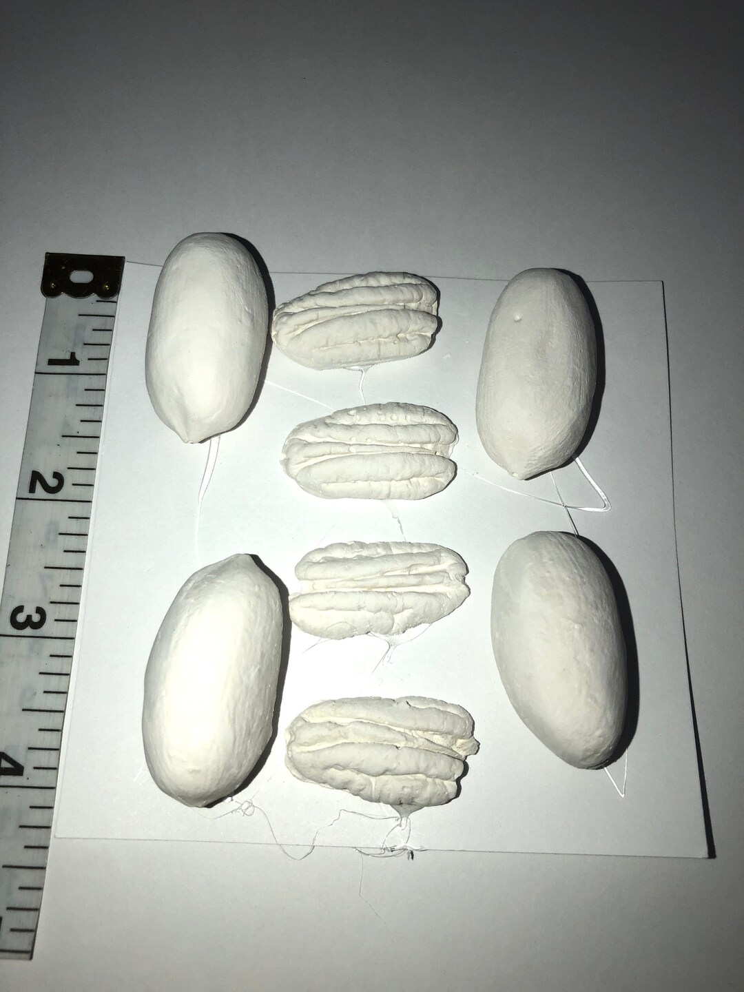 Ready to Paint Plaster of Paris DIY Craft 8 Pc Nuts Whole Etsy